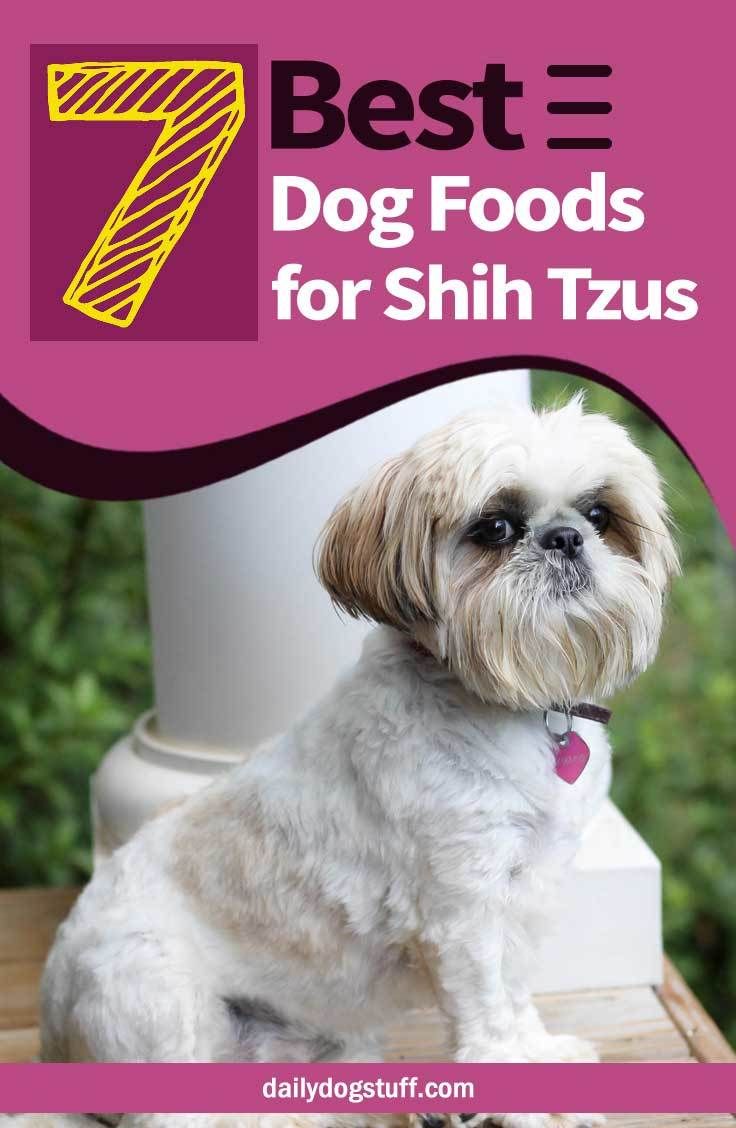 Top 7 Best Dog Foods for Shih Tzus: 5 dry &  2 wet options ...