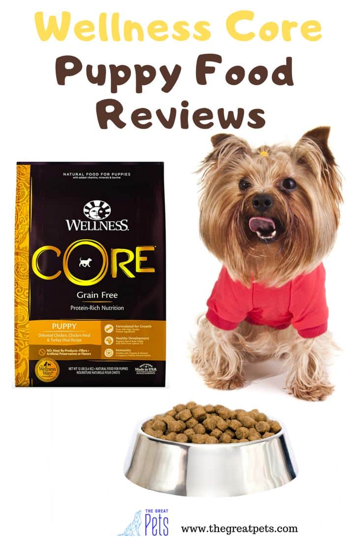 Wellness Core Puppy Food Reviews