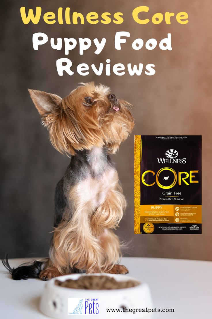 Wellness Core Puppy Food Reviews
