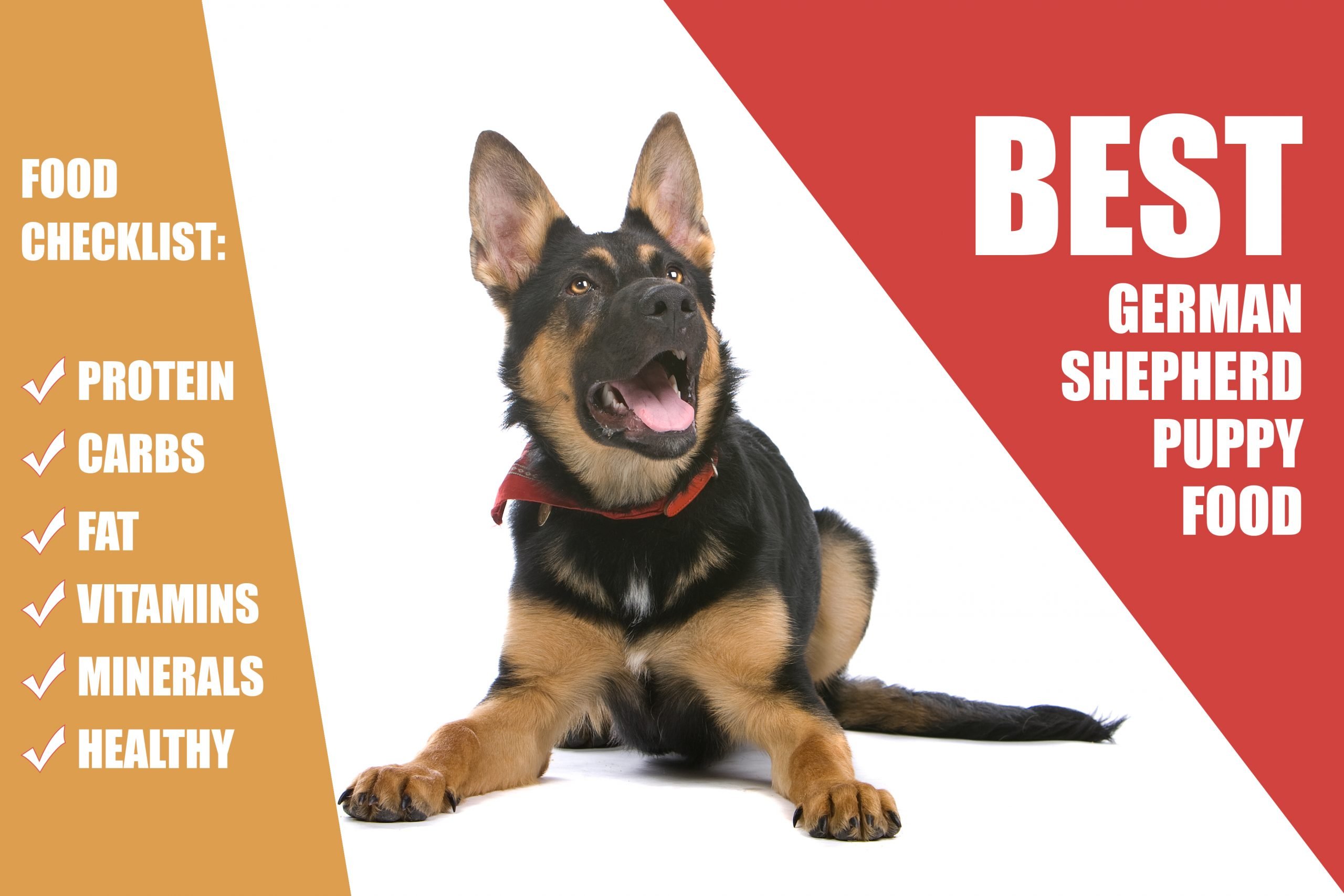 What Is The Best Food For Your German Shepherd Puppy ...