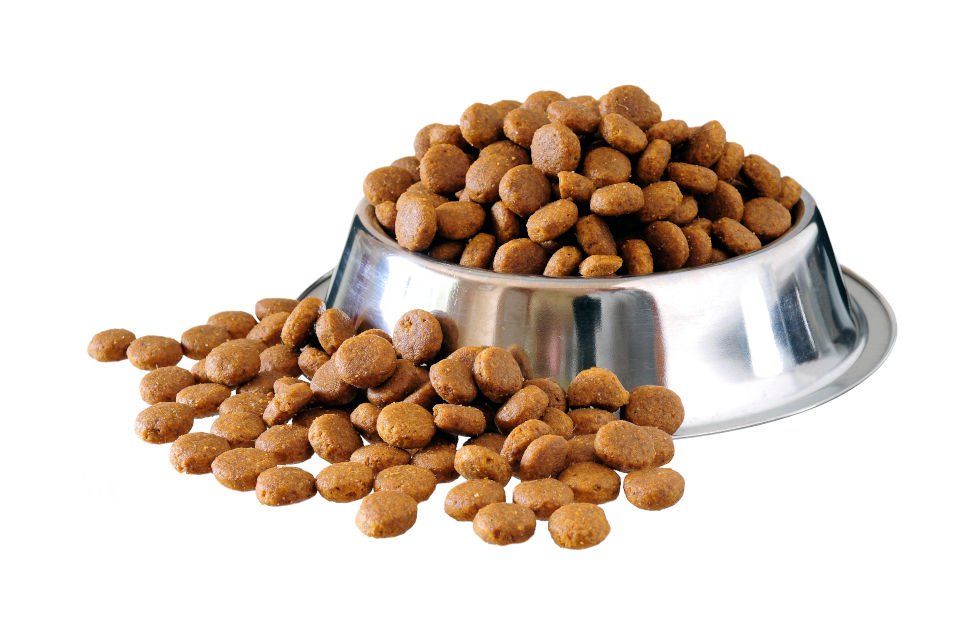 What is the difference between wet and dry dog food ...