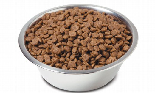 What kind dog food do you like for your dog?