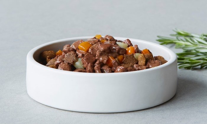 What Type of Dog Food is Best for Dogs