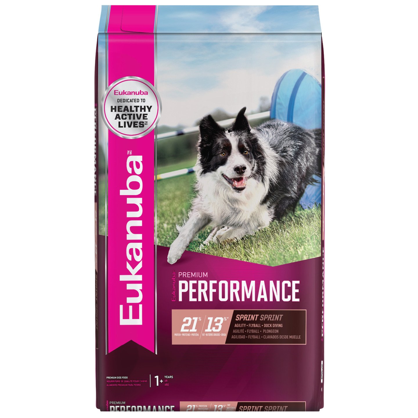 Whats the Difference Between High Performance Dog Food ...