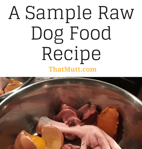 Where Can I Buy Raw Dog Food Dog Food Talk