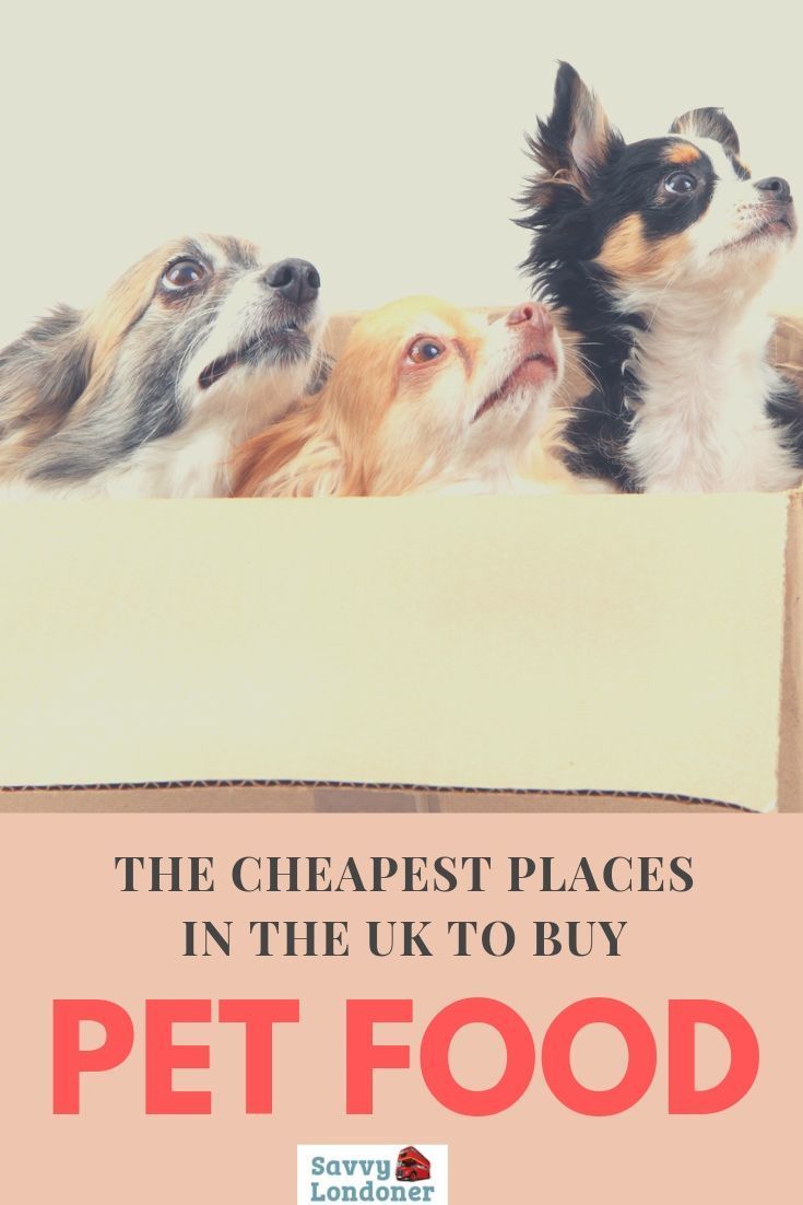 Where To Buy Cheap Pet Food And Supplies In The UK